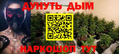 бошки Дубна