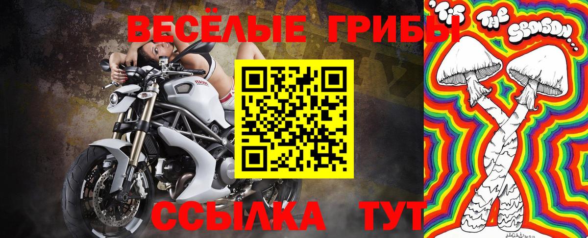 Щёкино  Псилоцибиновые грибы ЛСД  Вход с VPN 